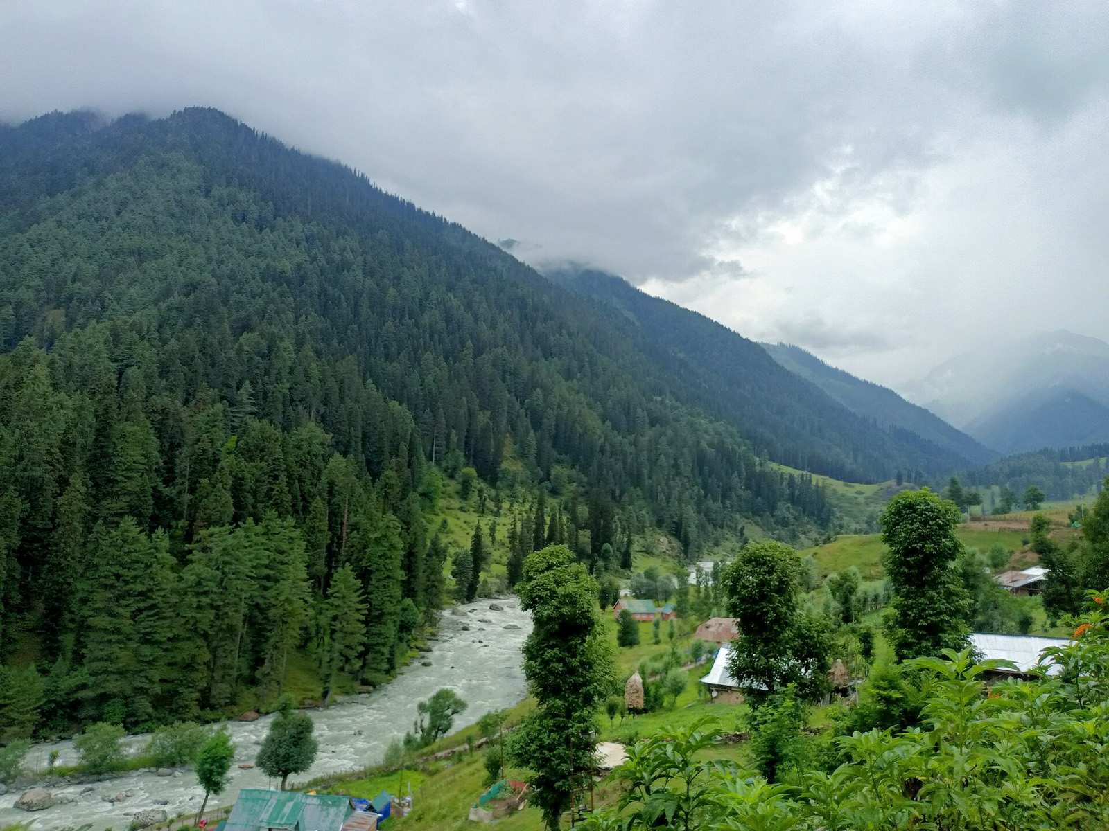 Lush green Aru Valley with a river winding through pine forest in Kashmir