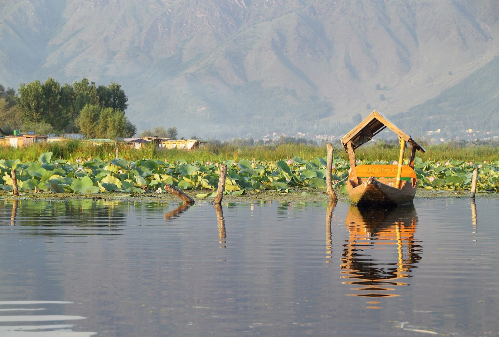 A shikara boat on the calm waters of Dal Lake, Srinagar