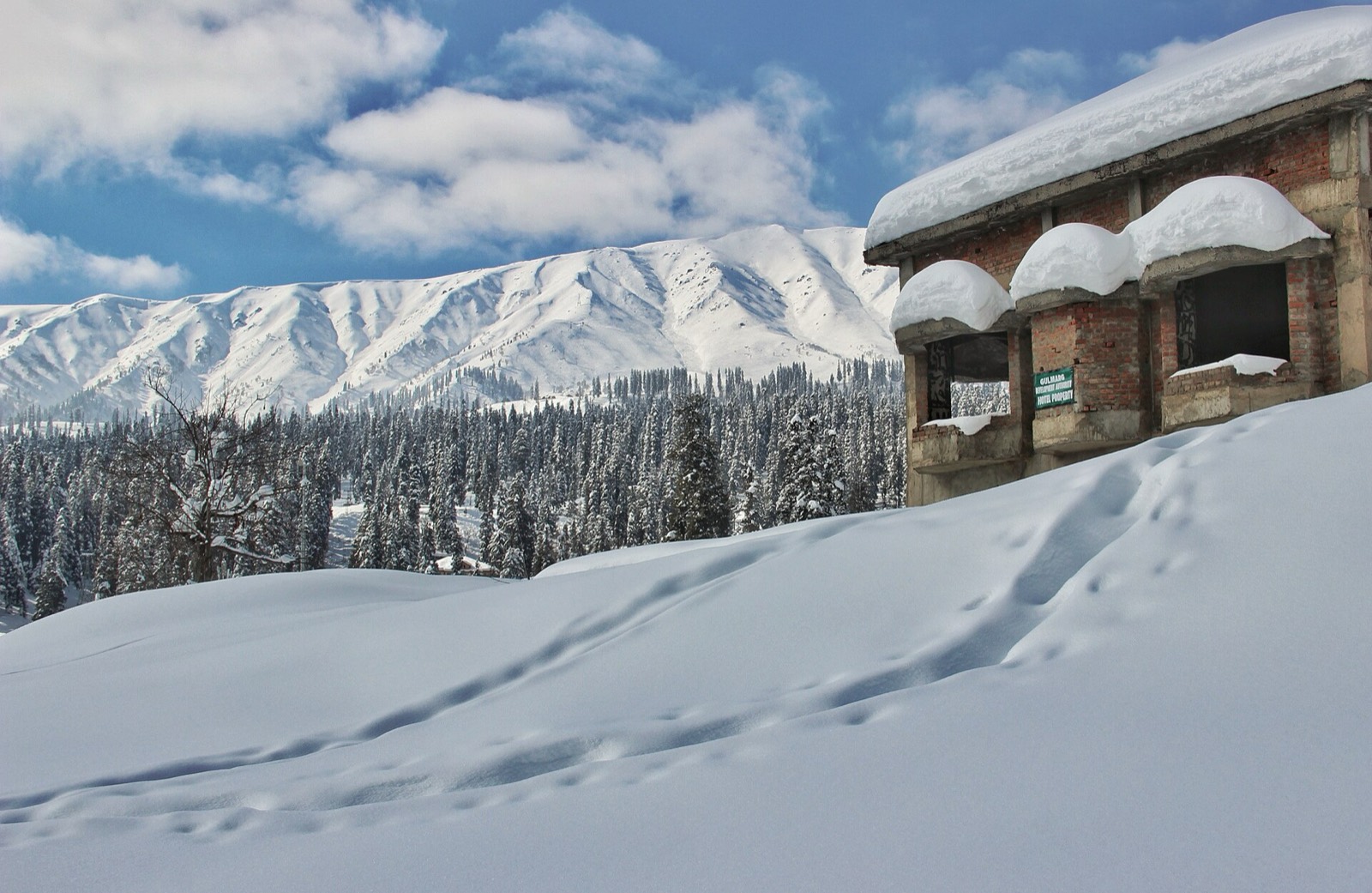 Snow-covered mountains and pine forest in Gulmarg in winter