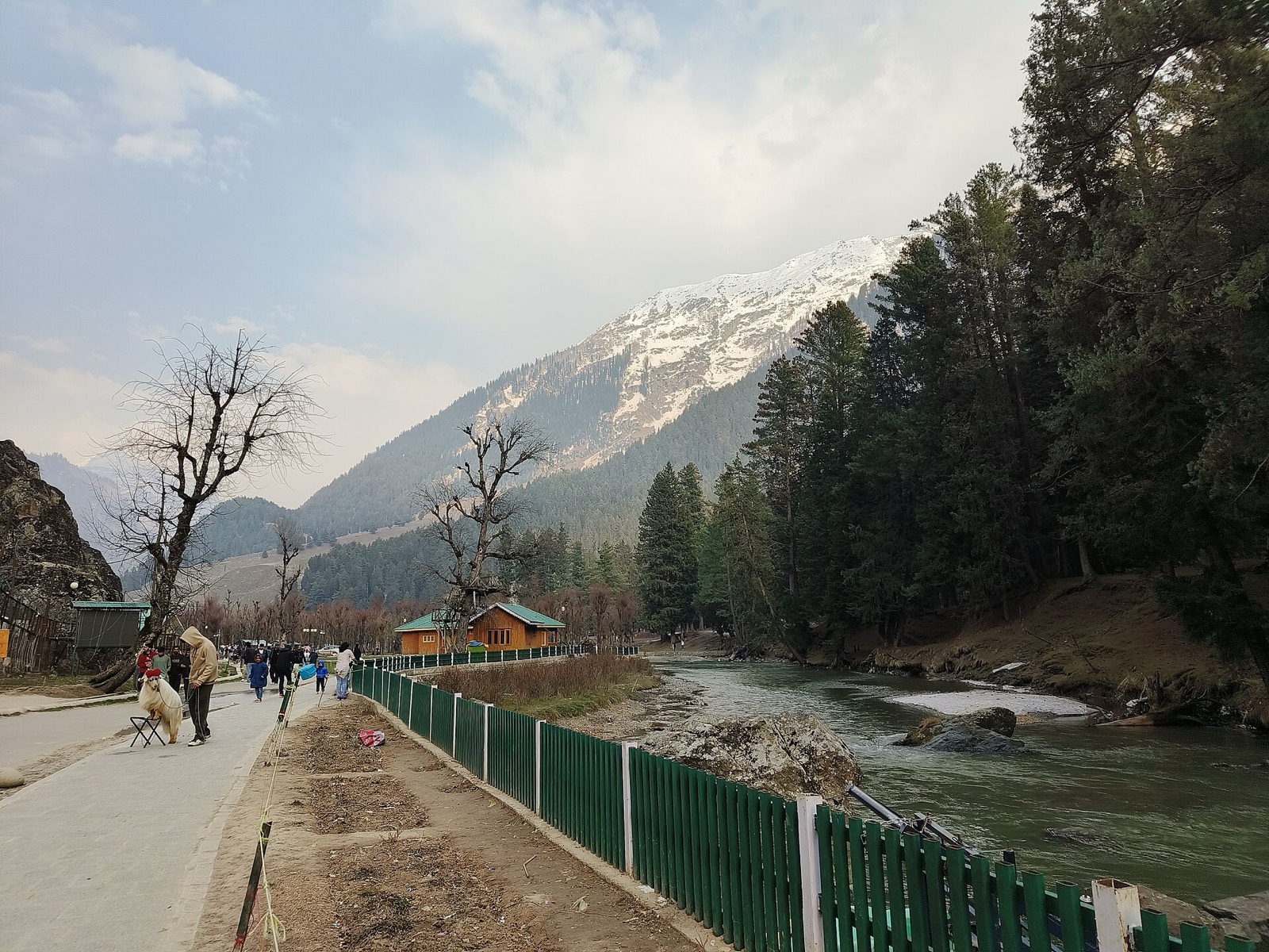 Betaab Valley near Pahalgam with green meadows and snow-capped peaks