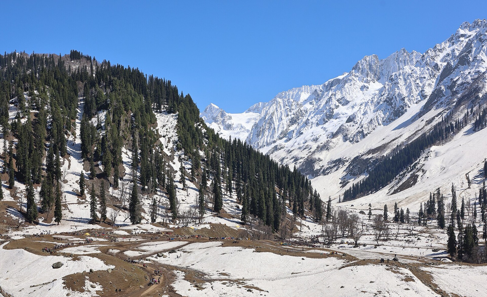 Alpine meadow and snow-capped mountains at Sonmarg, Kashmir